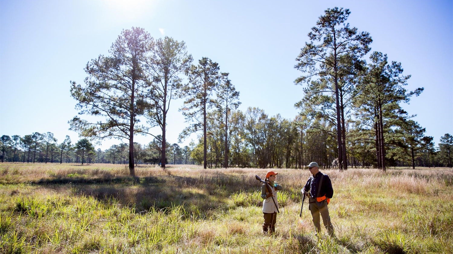 Quail Hunting with Kids: 7 Tips from a Top SC Hunting Plantation